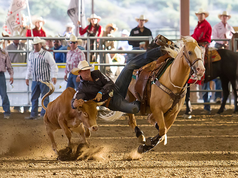 Norco Mounted Posse PRCA Rodeo Photo Gallery